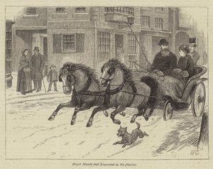 Schwarze Geister und Weiße von William Ralston
